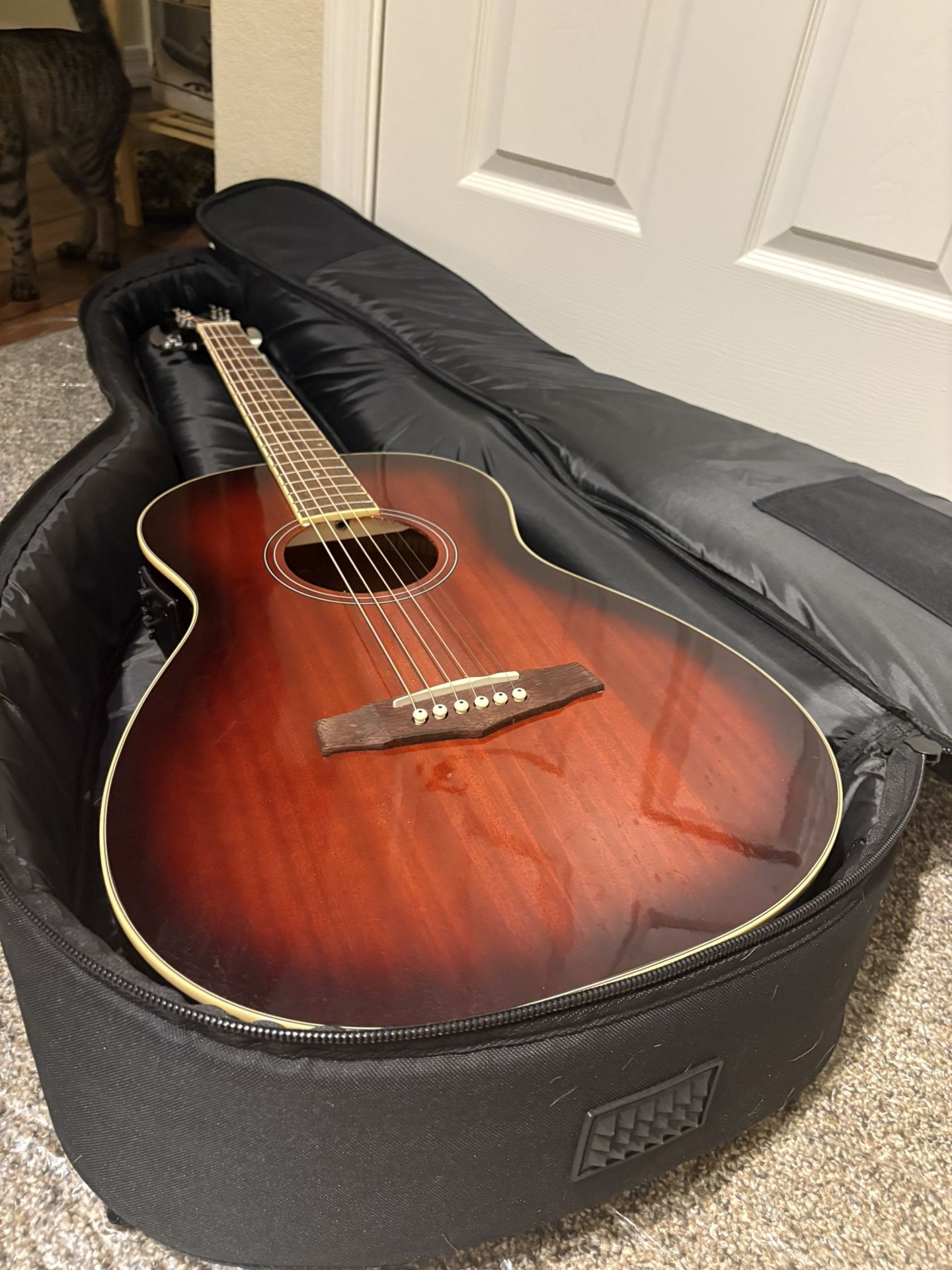Ibanez Guitar