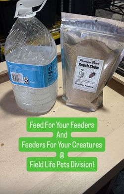 Dubia Feeders & Supplies