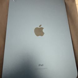 iPad 10th Generation 
