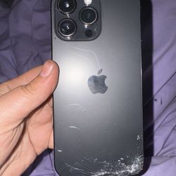 iPhone 14 Pro Max