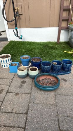 Little blue pots