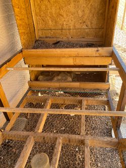 Chicken Coop