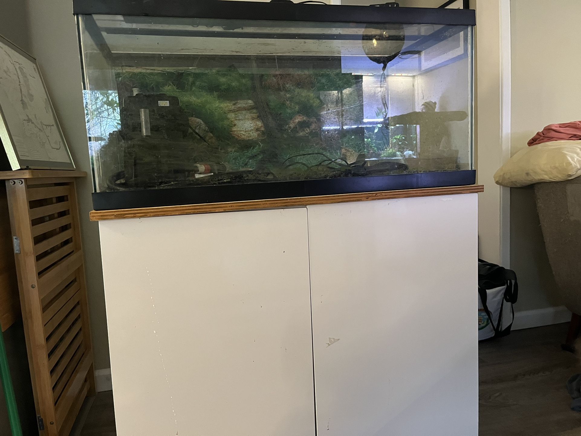 40g Fish Tank Full SetUp (STAND NOT INCLUDED) for Sale in Seattle