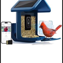 Bird Feeder with Camera Wireless Outdoor - Smart Bird Feeder Camera 1080P HD for Close-up Shots, Solar Powered, Birds AI Recognition & SD Card 