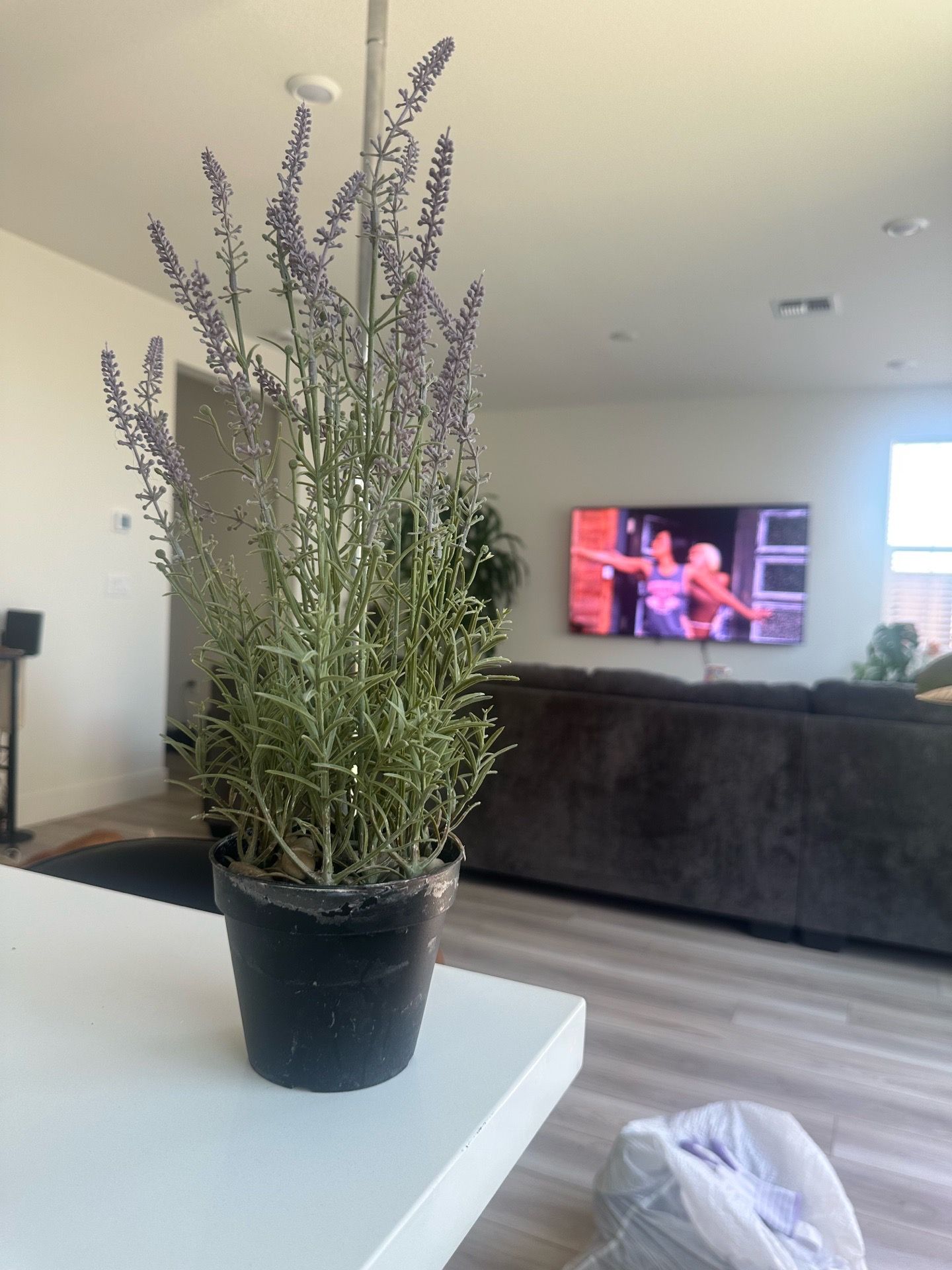 Purple Faux Plant