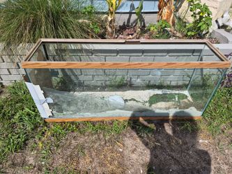 Aquariums