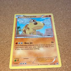 Hippopotas Pokémon trading card
