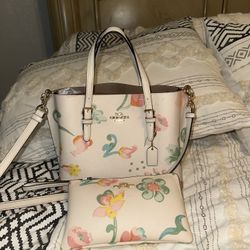 Coach And  Wallet 