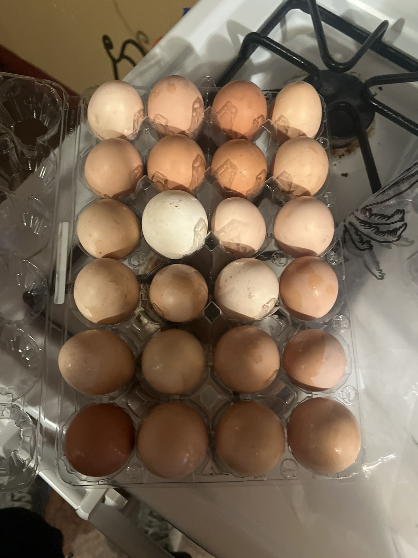 Brown Eggs 