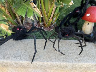 1 Giant And 10 Big Halloween Tarantulas