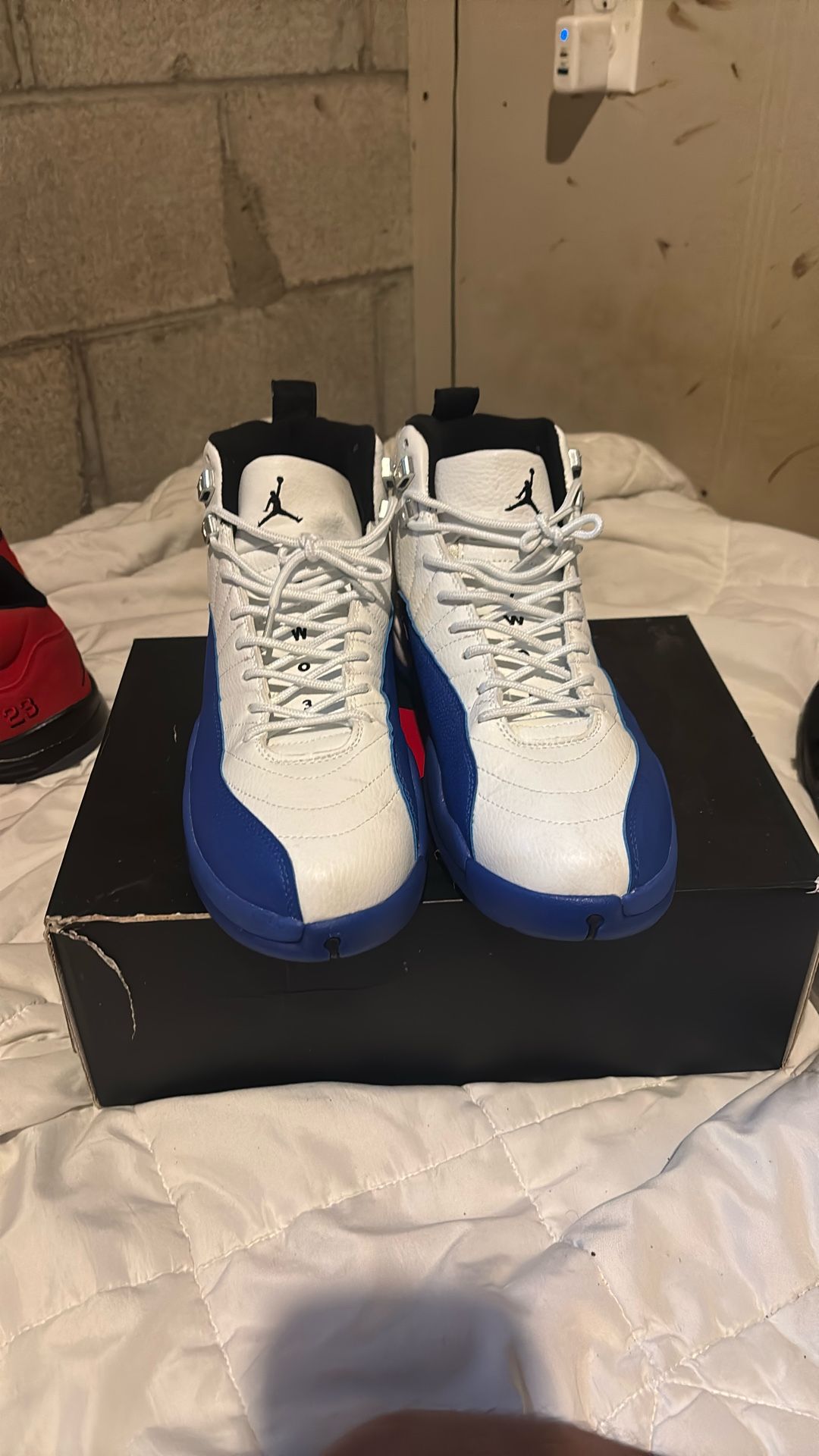 Jordan 12 “blueBerry” Size 12