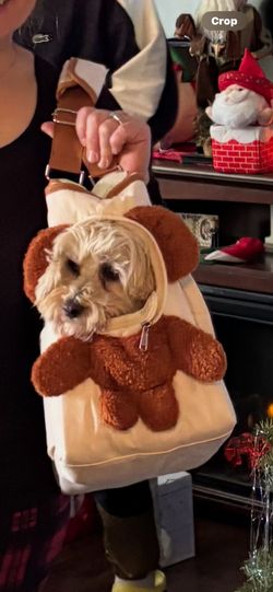 Dog Carrier Brand New