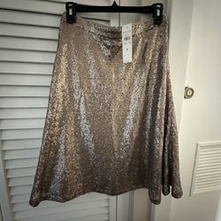 Ann Taylor Skirt -Never Used 