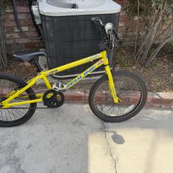 Redline Roam 20” BMX Bike