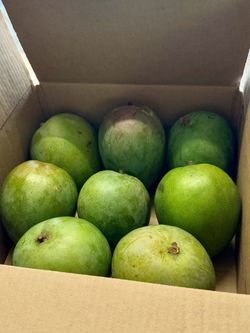 Sweet Mangos
