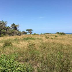 Trade Beach View Lot In Honduras For …..