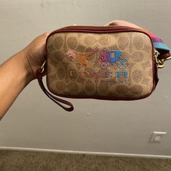 Colorful Coach Purse 