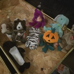 Stuffed Animals In A Chest