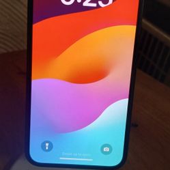 Iphone 12  (Firm)