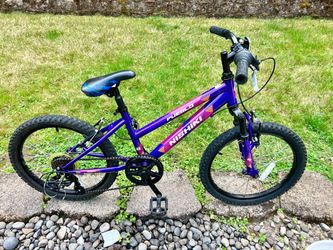 Nishiki bike 🚲 20”