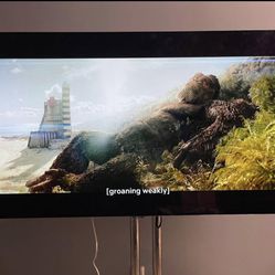 65” LG OLED 4K TV