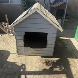 Dog House