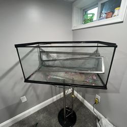 Fish Tank 