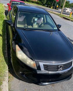 2010 Honda Accord