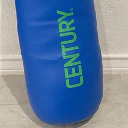Punching Bag