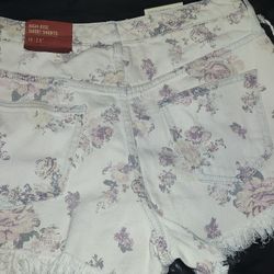 Low Rise Shorts