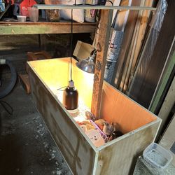 Chick Brooder 