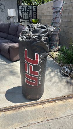 UFC punching bag