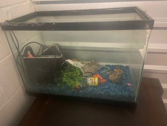 Fish tank