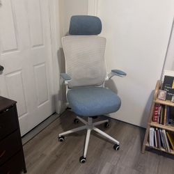 Ergonomic office Chair