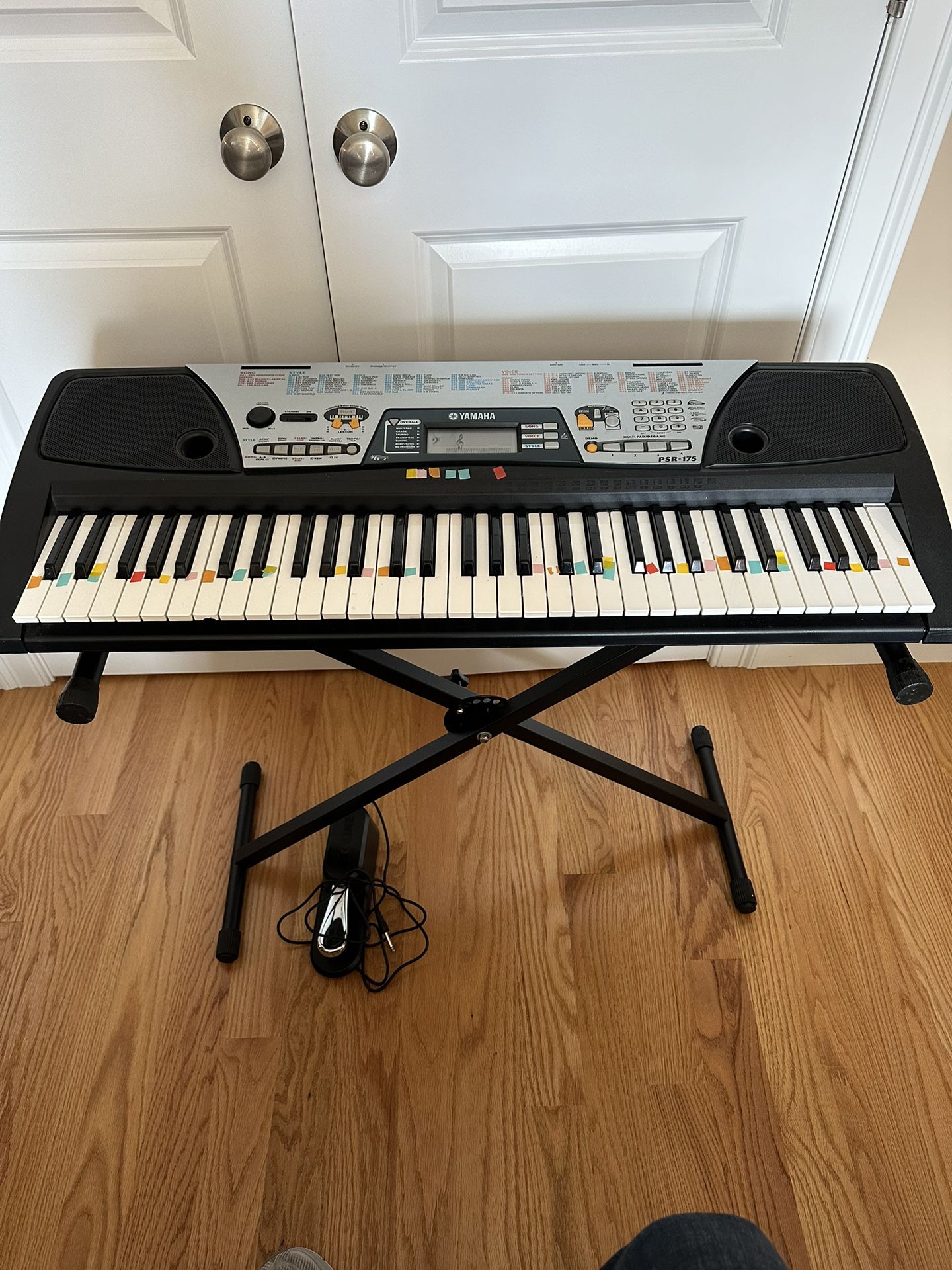 Casio Keyboard, Stand, Sustain Pedal