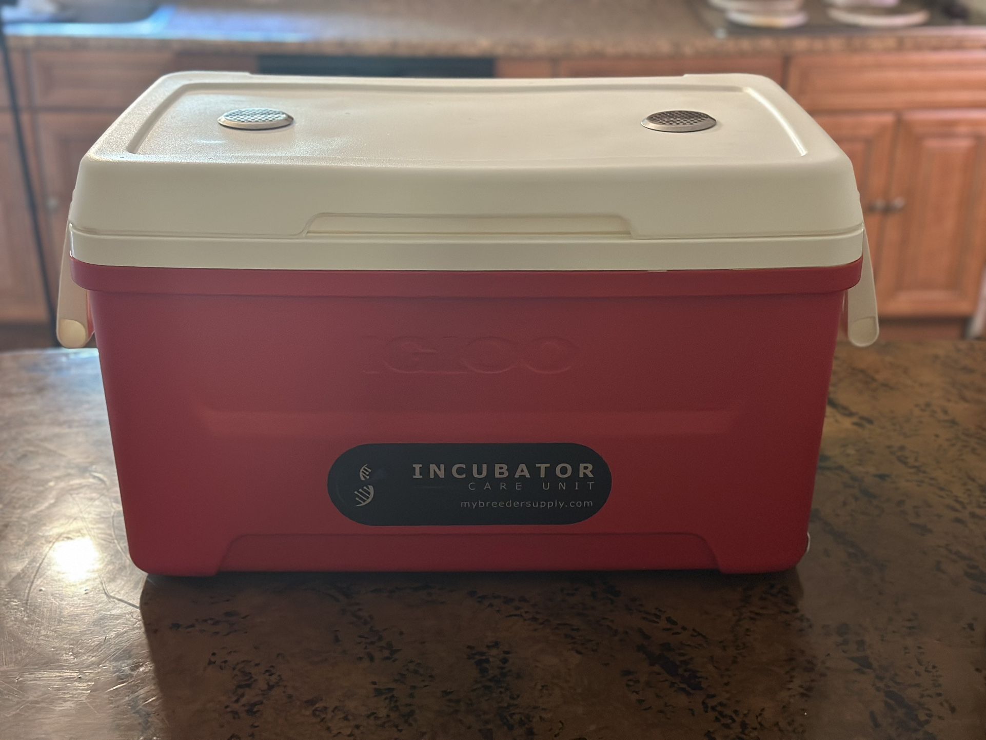 Puppy/Kitten Travel Incubator