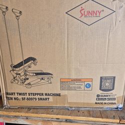 Smart Twist Stepper Machine 