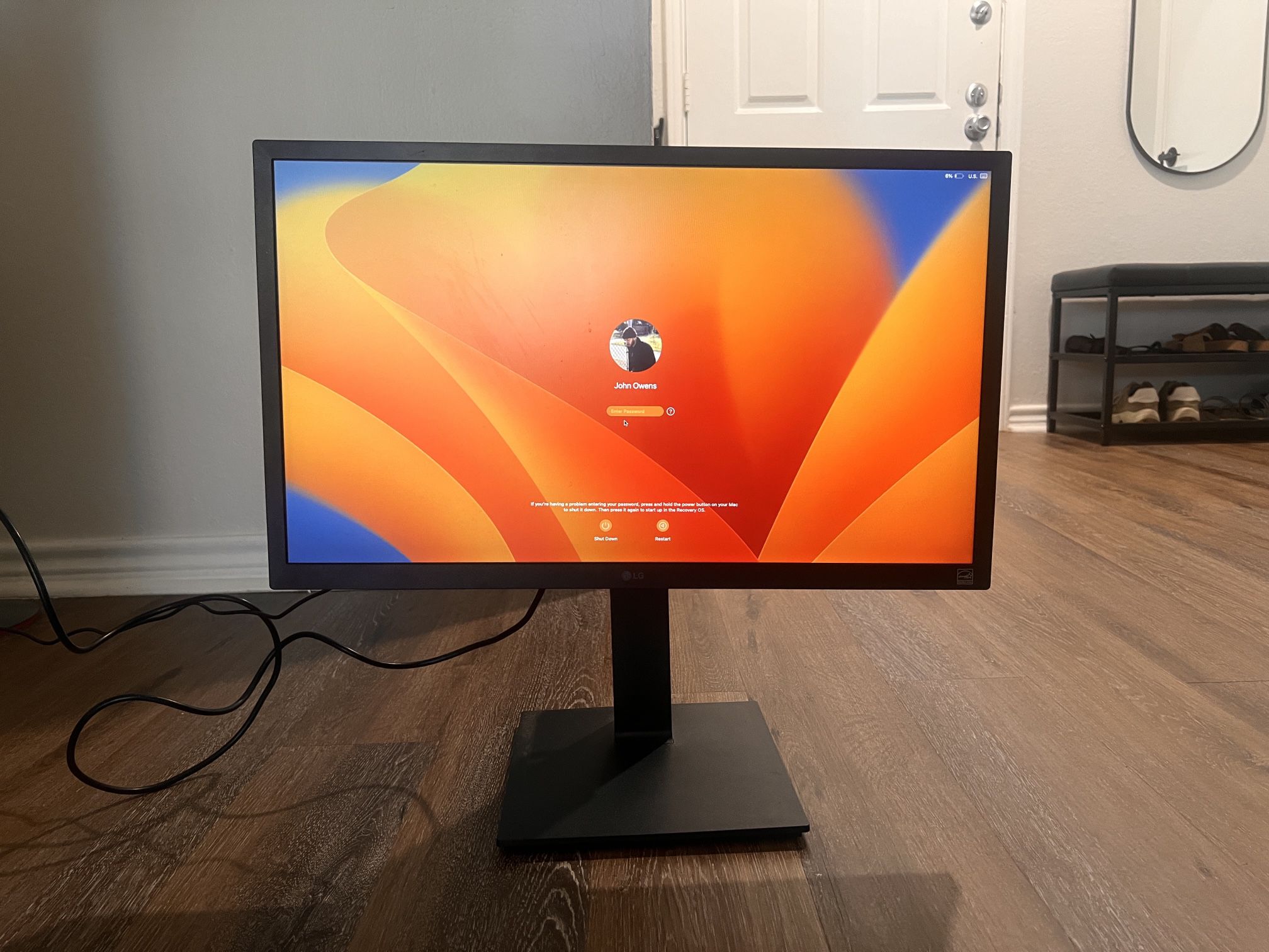 LG 24in Computer monitor