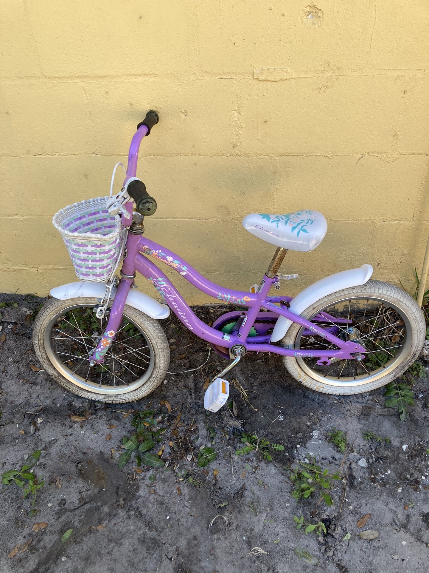 Schwinn Girl Pink Bike 