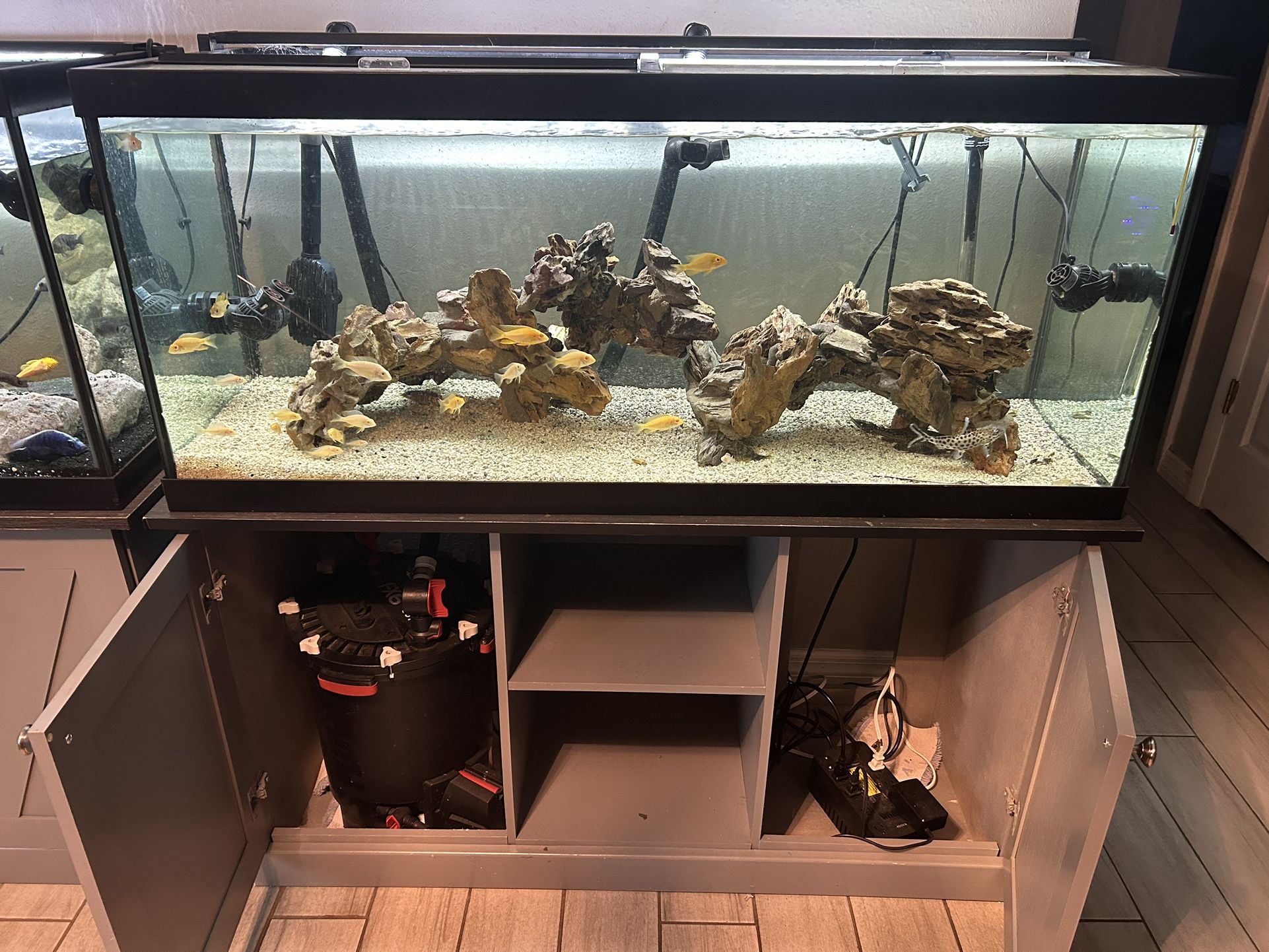 75 Gallon Tank With Stand And Fluval Equipment FX6 Canistar Filter Battery Backups