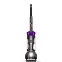 Dyson Vacuum Aspiradora Animal 2 