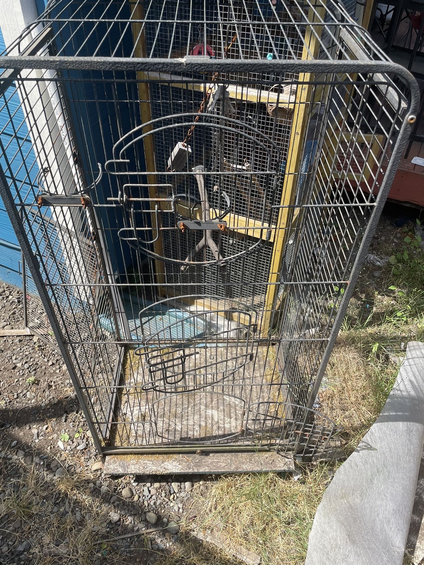 Bird Cage