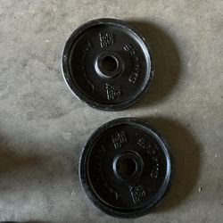 25lbs Olympic Plates Home Gym 2 Inch Holes 