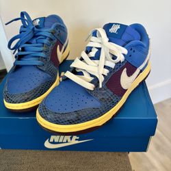 Nike Dunks 