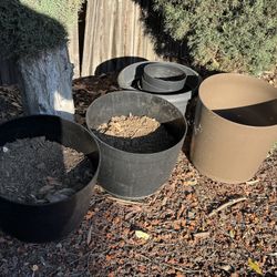 Flower Pots 