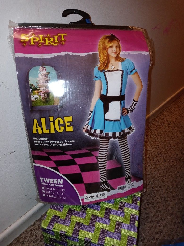 Alice Costume