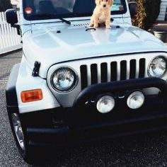 Jeep 