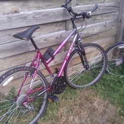 Bikes 