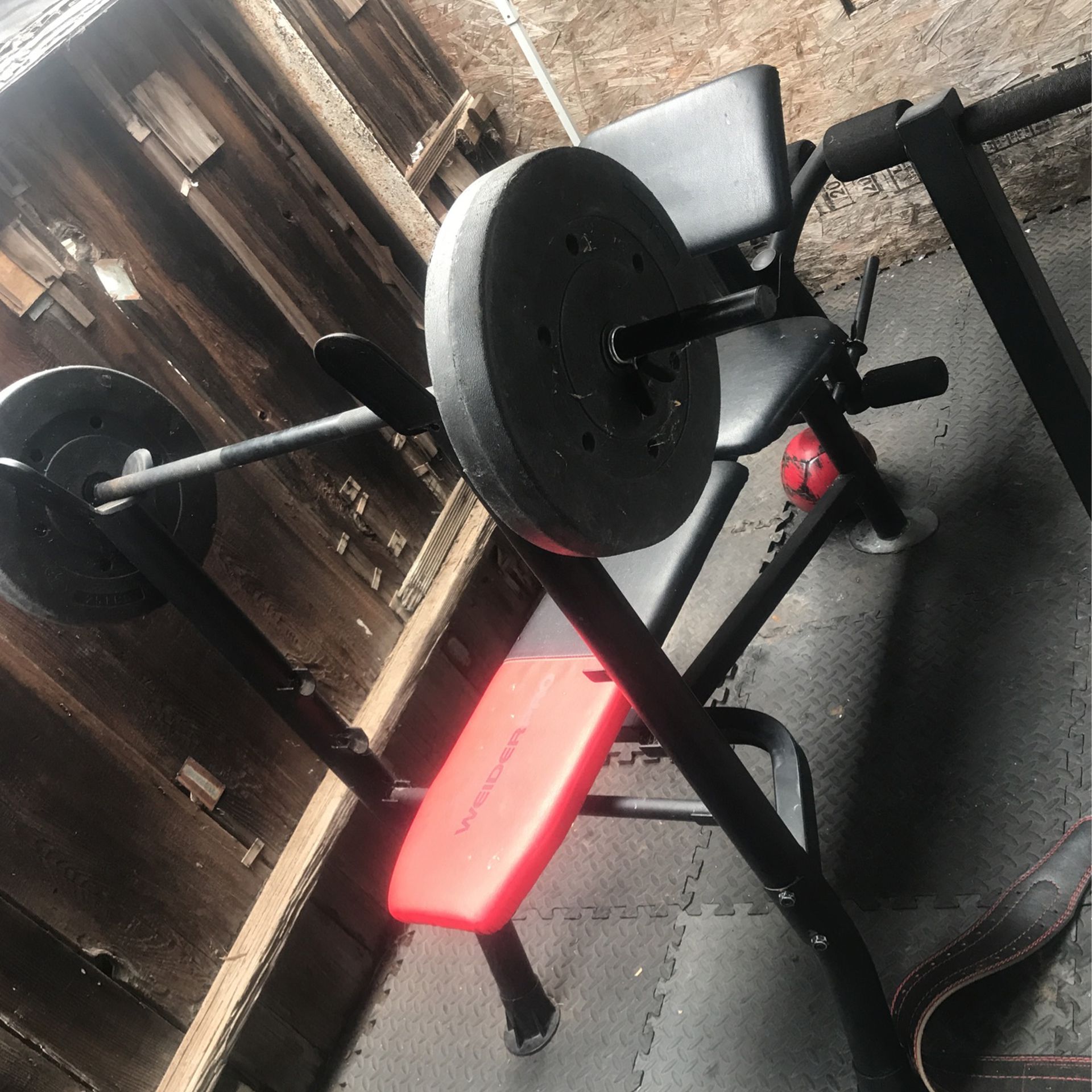 Bench Press , Weights , Workout 🏋️‍♀️ 