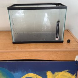 3 Gallon Fish Tank 